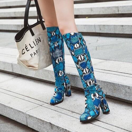 Autumn and winter catwalk new style thick heel pointed snake boots wild comfortable Martin boots foreign trade large size shoes