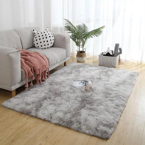 Living Carpet Gradient Color bedroom Long Plush Carpet Mat Sofa Coffee Table Area Rug Balcony Bedside Mat Modern