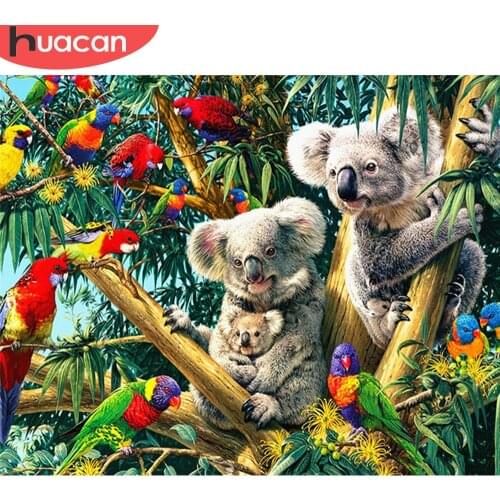 HUACAN Painting By Numbers Koala HandPainted Art Gift Pictures By Number On Canvas Animal Kits Home Decor