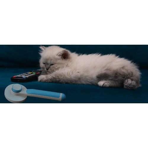 Hot Pet Grooming Brush Cats Dogs Brushes for Long Haired Short Hair Supple Bristles Quick Cleaning of the Brush