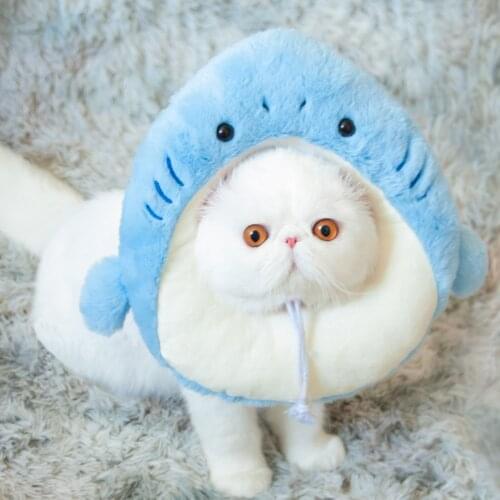 Shark Elizabeth Cat Collar