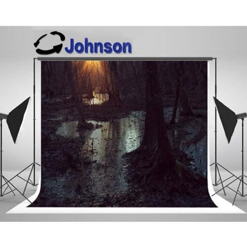 Swamp Dark Marsh Sunset Light photo backdrop High quality Computer print wall photo studio background