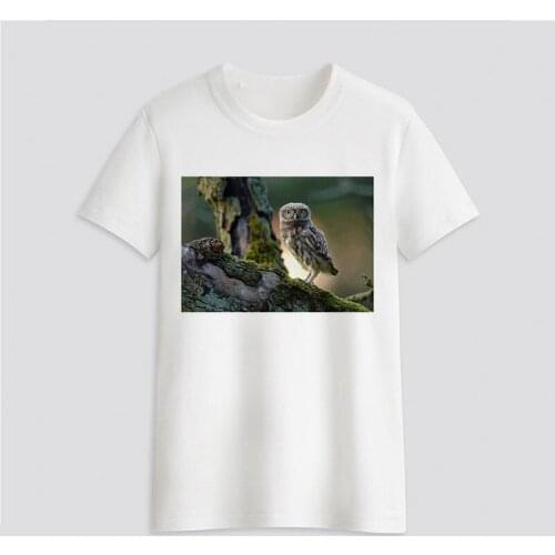 Graphic tees tops Owl theme tshirts women funny t shirt white Tops casual short Camisetas Mujer_T-Shirt