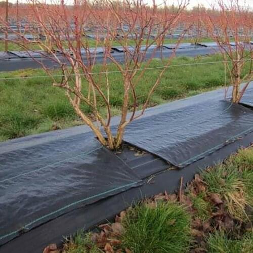 Agricultural Anti Grass Cloth Farm-oriented Weed Barrier Mat Black Plastic Mulch Thicker Orchard Garden Weed Control Fabric