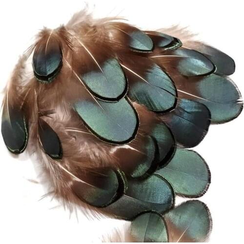 50Pcs/Pack Natural Rooster/ Pheasant Feathers 5-8 CM Decoration for Party Wedding Clothes Diy Jewelry Accessory Crafts Plumes