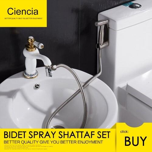 Free Shipping 304 Stainless Steel Brushed Nickle Double Water Mode Bidet Sprayer Shattaf With Diverter