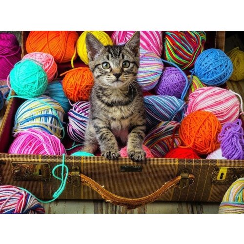 5D DIY Diamond Painting Kits Cat Full Round With AB Drill Diamond Embroidery Animal Diamond Mosaic Full Layout Home Decor Gift
