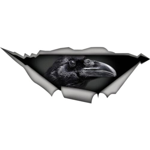 Personality Car Sticker Crow Black Bird Auto Accessories Car Window PVC Cover Scratches Waterproof Apply To Car Window