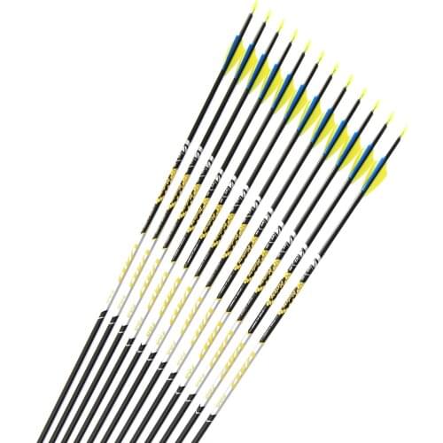 12pcs Archery Carbon arrows Spine350 400 500 600 700 ID4.2mm 1.75"plastic vane Stainless Steel target point for Recurve bow