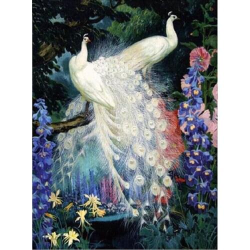 5D Diamond Embroidery white peacock Diy Diamond Painting Cross Stitch Full square paintings by number rhinestone MosaicZP-2639