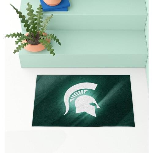 "Gladiator" Indoor Mat Outdoor Mat, Room Carpet, Door Matting 50x80 cm