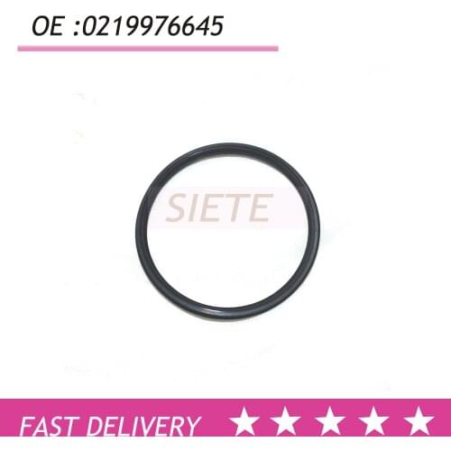 Sprinter turbo hose seal 0219976645