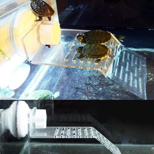 Turtle sucker drying platform Turtle tank aquarium turtle transparent sucker drying platform turtle floating island climbing