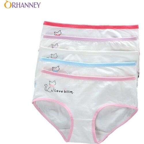 4Pcs/Lot Girls Underwear Pure Cotton Briefs Childrens Breathable Cartoon Inner Clothes Low Waist For Middle School Students