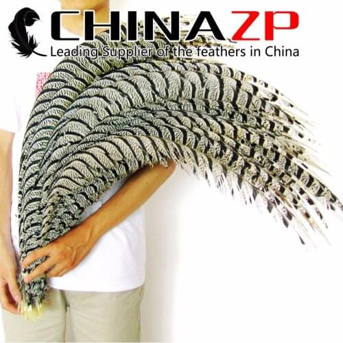 CHINAZP Featured Quality Natural 80~90cm (32~36 inch) Zebra Black and White Lady Amherst Pheasant Tail Feathers Via Express Cost