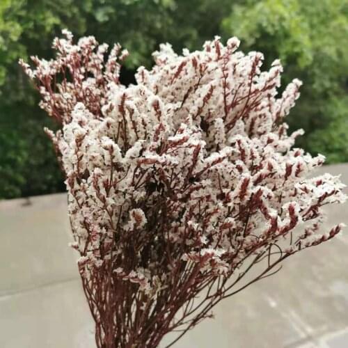 50g/30-40cm,Natural Fresh Preserved Crystal Grass Flower Bouquet,Eternal Flower for Wedding Party Home Decoration accessories