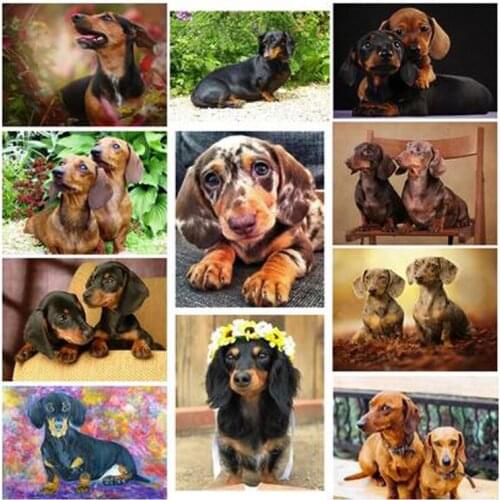 Diy 5d diamond painting Dachshund rhinestones full square round drill diamond embroidery animal cute Dog cross stitch mosaic Z08