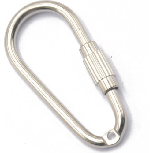 Steel Carabiner Generic D Shape Steel Screw Locking Carabiner Key Ring Clasp Clip Hook Pack of 10 Carabiner Key Ring