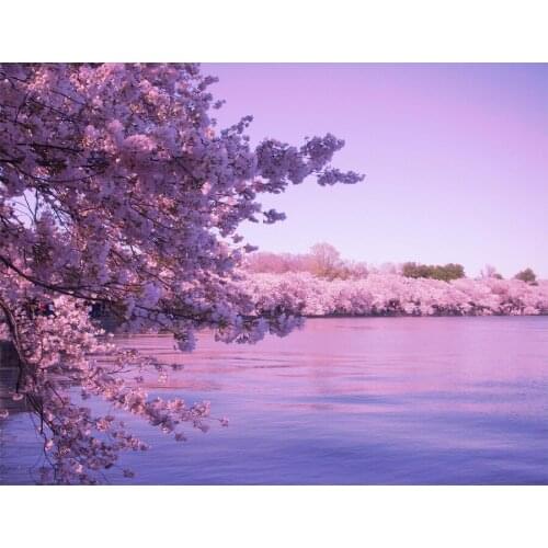 DIY Diamond Embroidery 100% cover Cherry blossom lake Diamond Painting Full 5d Cross Stitch,square/round Drill Home Decor C955