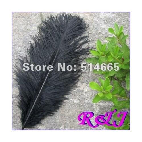 Wholesale 50PCS 18-20" 45-50cm black OSTRICH FEATHER real ostrich plumage EMS Free Shipping