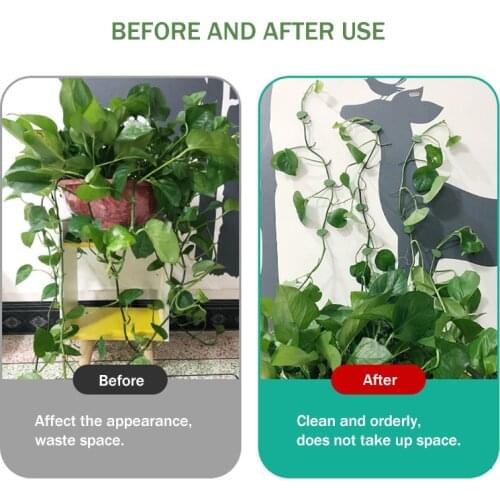 10pcs Plant Fixture Clip Plant Climbing Wall Self-Adhesive Fastener Tied Fixture Vine Buckle Hook Garden Plant Wall Climbing
