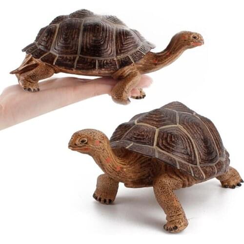 NEW Simulated Marine Animals Model Girl Boy Toys Tortoise Geochelone Nigra Car Ornaments Kids Toy Learning Cognitive Education
