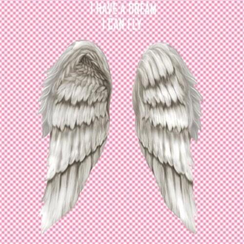 Sweet Street Icon Women Men Clothes 27CM Wings Letters Iron on transfer Printing Patches for clothing T-shirt Patch DIY Stickers