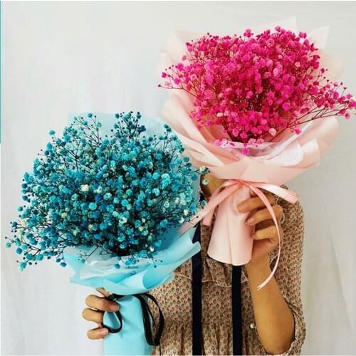 6 Colors Real Flower Small Natural Dried Flowers Bouquet Dry Flowers Press Mini Gift Box Decoration Party Supplies