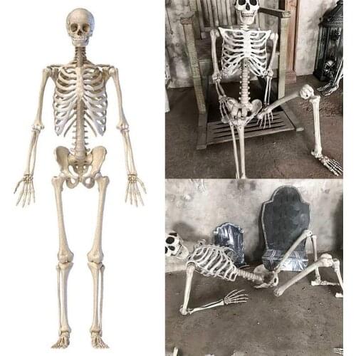 70CM Halloween Skeleton Prop Human Full Size Skull Hand Life Body Anatomy Model DecorHalloween Party Decor For Home