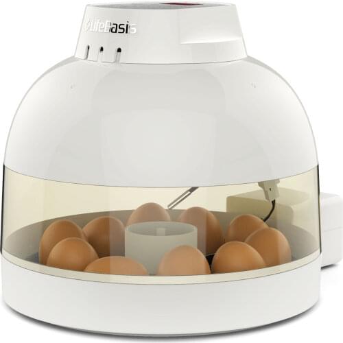 Mini 12 volt dual power egg incubator 24