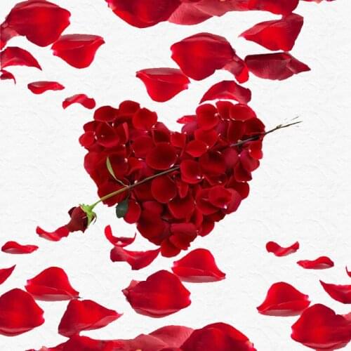 5000pcs hand made 2.5-3cmFake Rose Petals Flower Girl Toss Silk Petal Artificial Petals For Wedding Confetti Party Event Decor