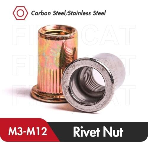 Metal Threaded Pressure Drill Nut Rivet M3 M4 M5 M6 M8 M10 M12 Manual Zinc Stainless Steel Electric Thread Rivets Riveter Guns