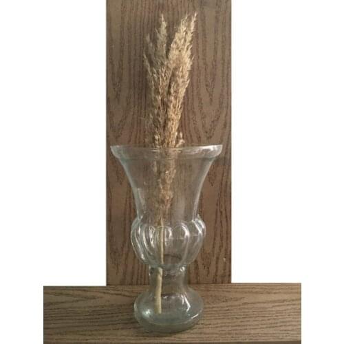 Modern Glassy Coco Glass vase vase jarrón ваза vaso مزهرية