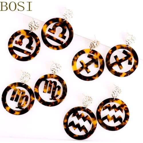 Earrings Fashion Jewelry Women Leopard Long Earring Minimalist 12 constellations Girls Boho Earring Punk Stud Cute Earring Gold