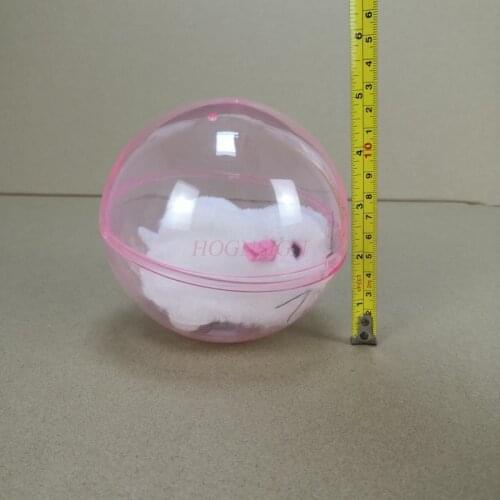 Scroll nature tv girls animal model toy Children Toys Will Walk Scroll Hamsters Electric Toy Educational Plush Movie & Tv Girls