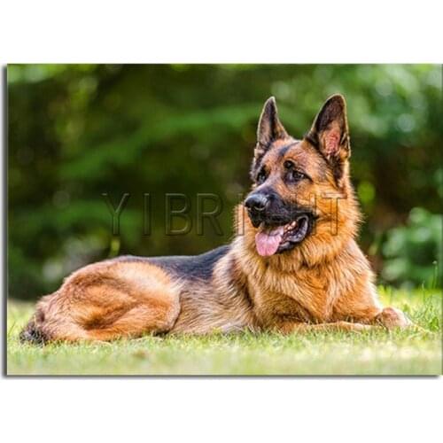Full Square Diamond painting Cross stitch German Shepherd 5D DIY Diamond embroidery Dog Full Round Diamond mosaic Animal Y3