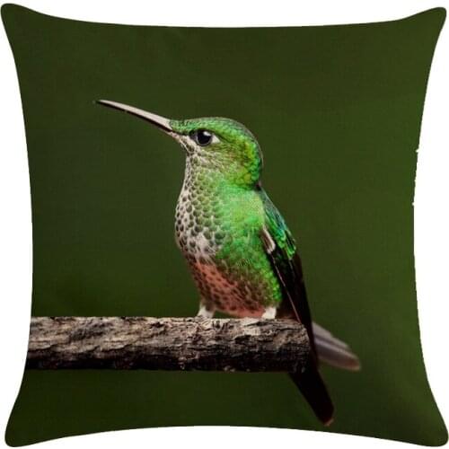 Cute Kingfisher Throw Pillow Cover Bird Square Pillow Case Home Decor Colorful Bird 45x45cm Cushion Cover For Sofa Bedroom