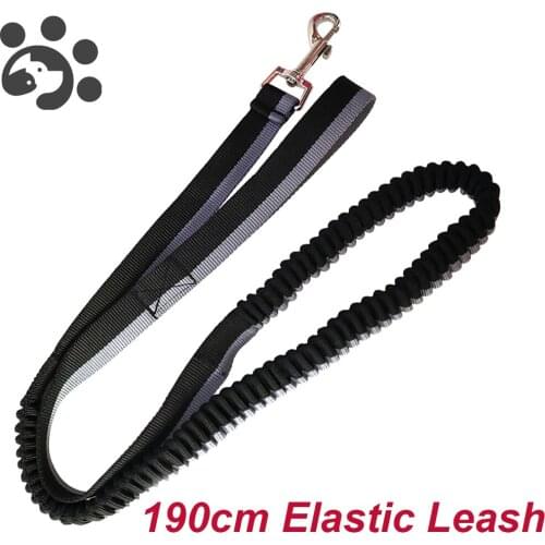 MicroPlush Leashes For Dogs