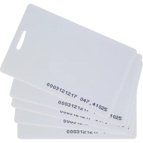 Hole punched CR80 standard size plastic blank white tag cards