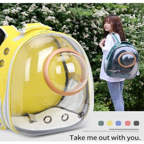 Pet Cat Backpack Fashion Breathable Transparent Pet Carrier Bag For Puppy Cat Portable Dog Backpack