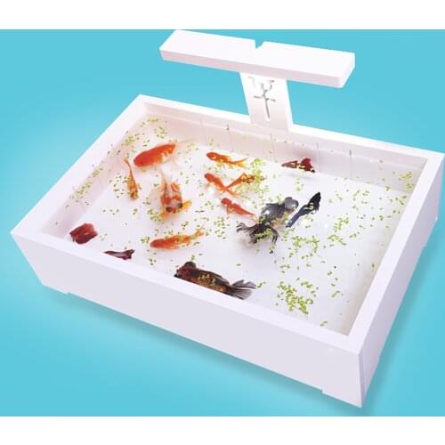 Turtle Cylinder Small Betta Tank Isolation Desktop Plastic Turtle Fish Tank Scorpion Spider Breeding Acrylic Cover