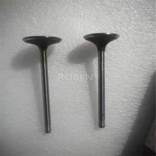 1003101RAA,Inlet Valve