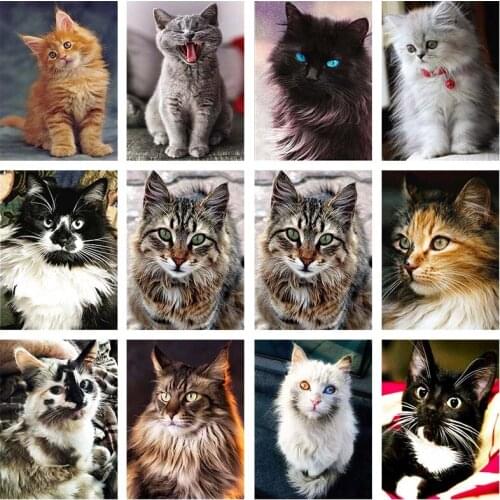 Animal Cat Diamond Embroidery Cross Stitch 5D DIY Full Square Round Drill Mosaic Embroidery Wall Room Decor Craft