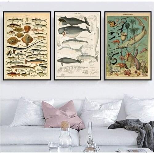 Poster Prints Retro Ocean Sea Shell Fish Animal Vintage Life Chart Biology Painting Art Wall Pictures For Living Room Home Decor