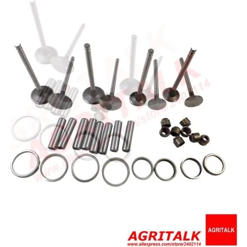 Set of valve seal, intake and exhaust valve and guides (one engine use) for YTO 1004 with LR6105T10