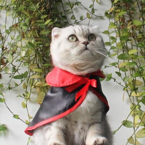 Cool Black Pet Cat Dog Halloween Costume Cosplay Cloak Shawls Cape Warm Scarf Wedding Birthday Party Gift Pet Supplies