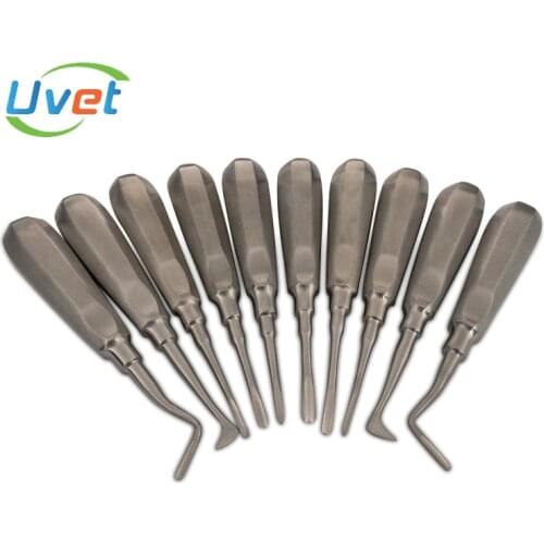 Veterinary dental instruments Animal Pet Tooth extraction Pet hospital Vet cat dog dental tools Veterinary Dental Tools
