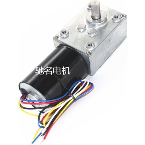 5840-3650 brushless DC worm gear motor 12V24V brushless motor self-locking brake motor