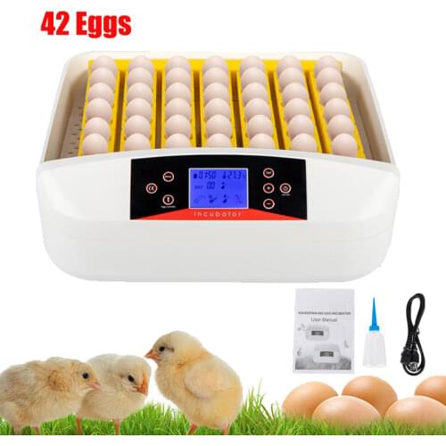42 Eggs Incubator Automatic Incubator Brooder Hatchery Farm Poultry Hatching Machine Turn Temperature Control for Eggs Chicken