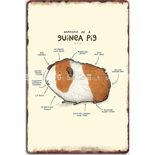 Anatomy Of A Guinea Pig Metal Sign Retro Wall Plaque Party Pub Tin Sign Posters